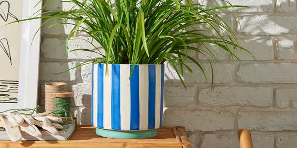 A blue and white stripes planter.